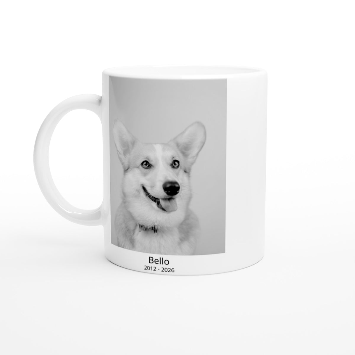7dc49451-486a-4a55-8011-c70462556796
