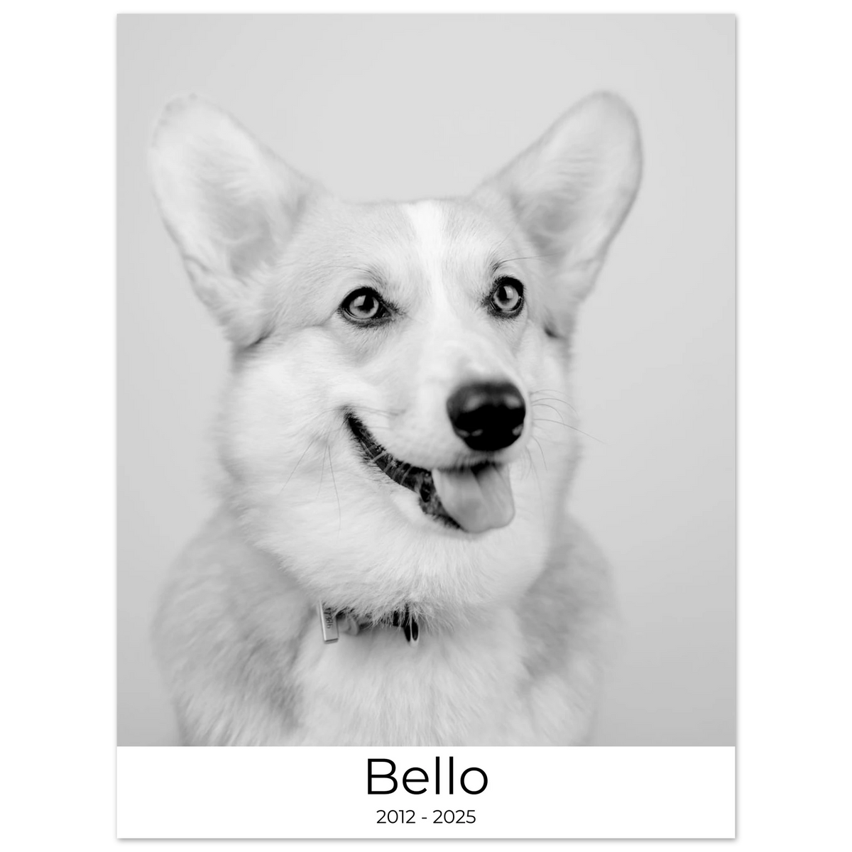 ffec71c3-c6d2-4a9b-97d3-2e83f568fe4a